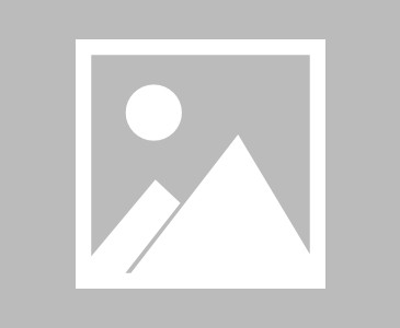 九游娱乐-张帅组合获得WTA500林茨站双打冠军|科斯蒂亚|马列科娃|隔网|搭档|迈阿密